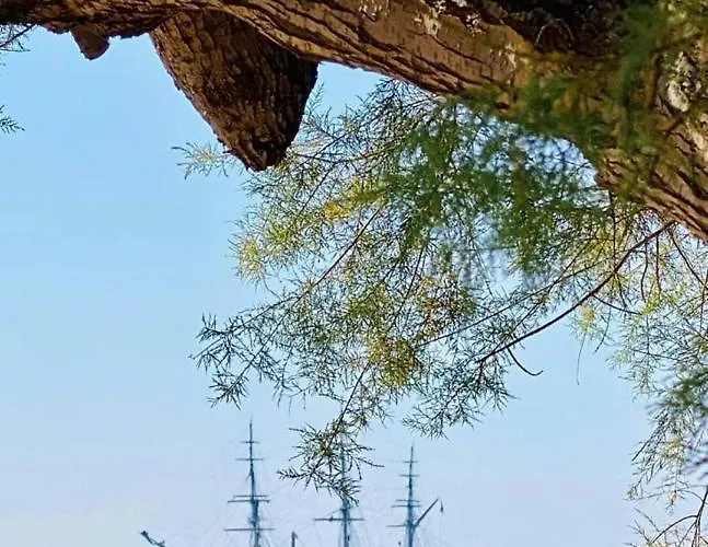 Del Lungomare Gallipoli