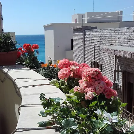 Bed and Breakfast Del Lungomare